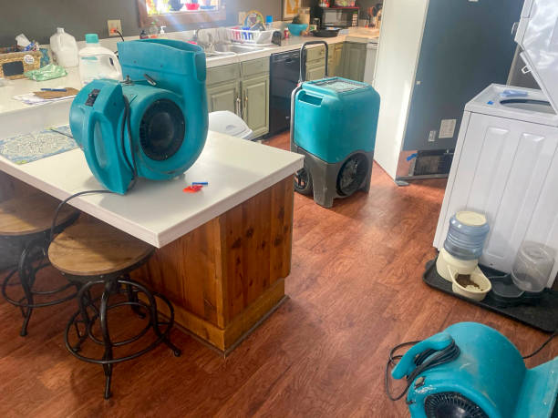 Best Water damage restoration near me  in Bad Axe, MI