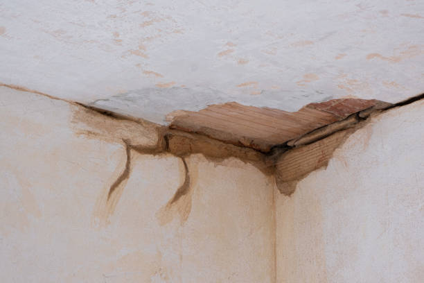 Best Flood restoration services  in Bad Axe, MI