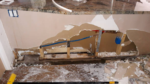 Best Water damage mitigation services  in Bad Axe, MI