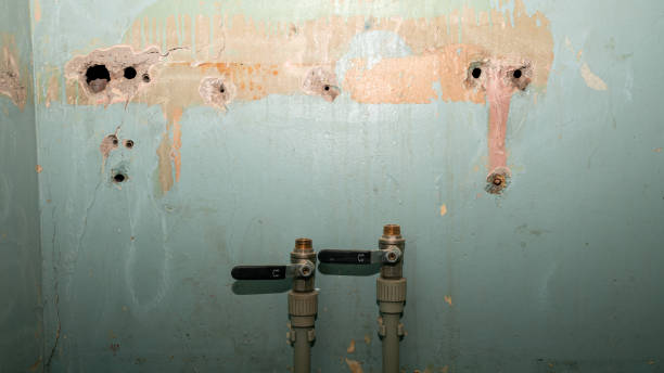 Best Flooded house restoration  in Bad Axe, MI