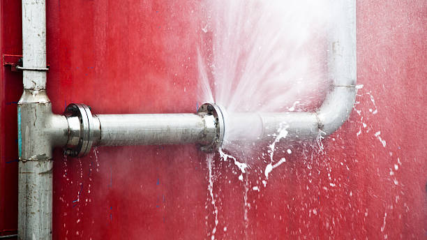 Best Carpet water damage restoration  in Bad Axe, MI